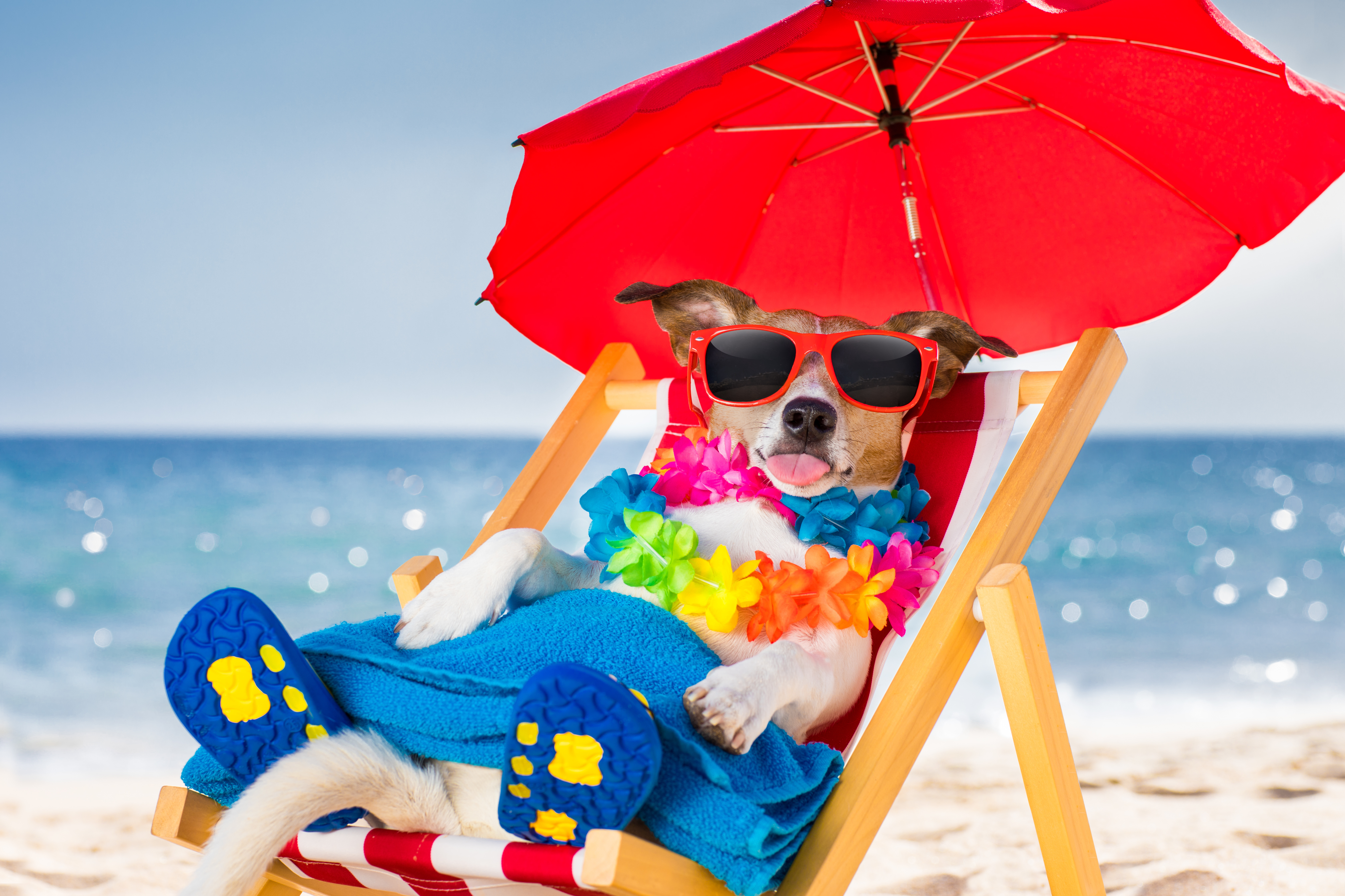 Why Summer Is The Greatest Time For Salespeople